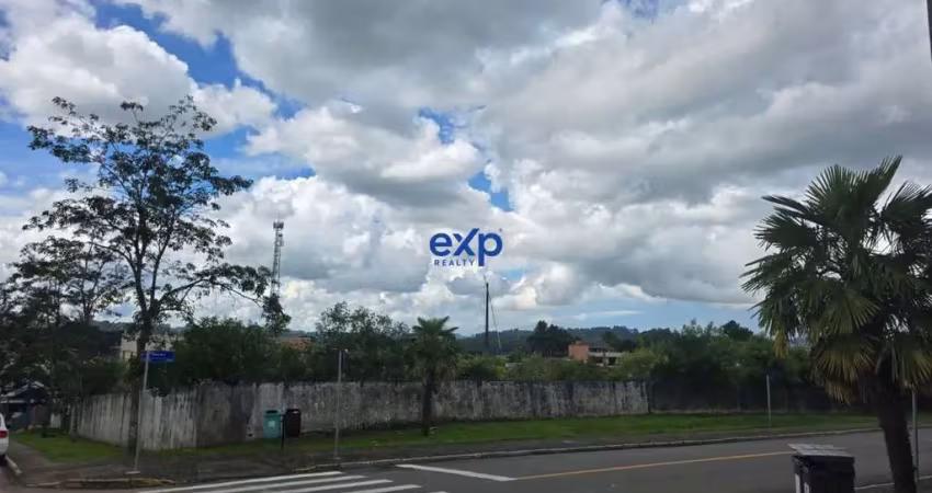 Terreno comercial à venda na Goiania, 1, Centro, Piên