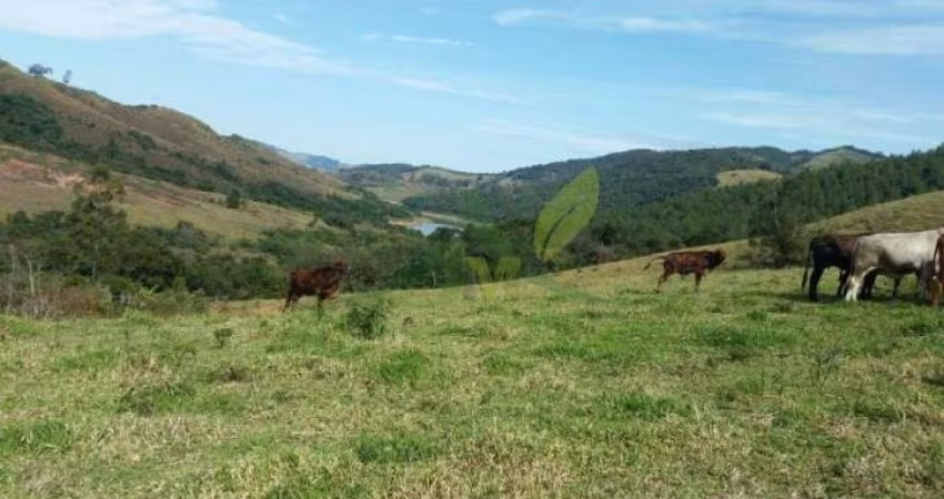 Sítio Tranquilo em Piracaia - 8 Alqueires com Vista para Represa