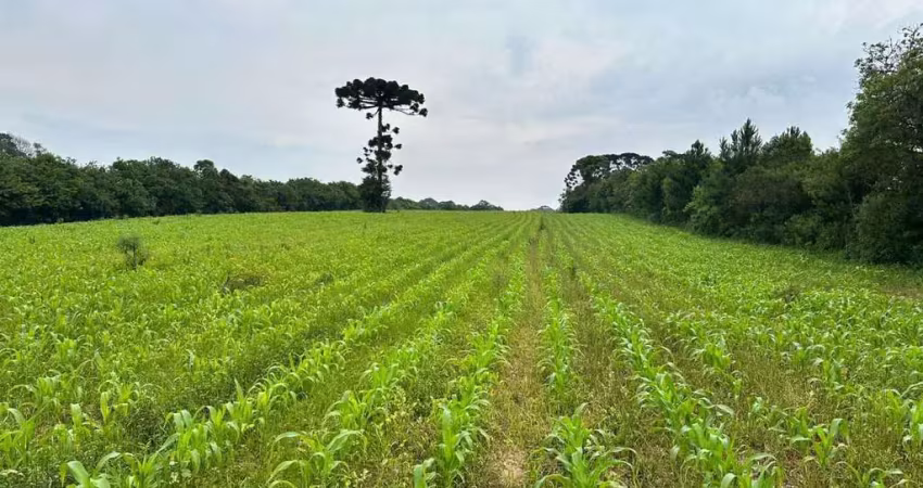 Terreno à venda na Rua Antônio Salin, Umbará, Curitiba