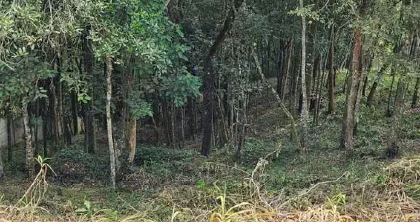 Terreno à venda em Pirucaia, Mairiporã 