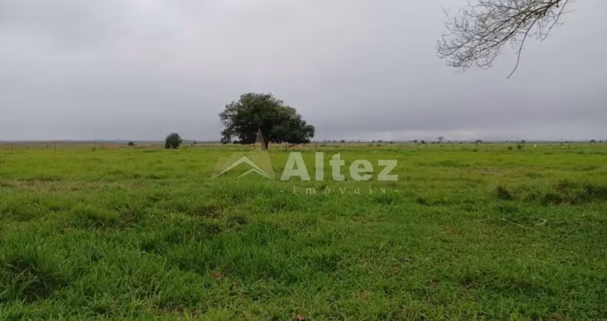 Fazenda 175 alqueires (847 ha), pastos, água abundante, guapimirim, rj