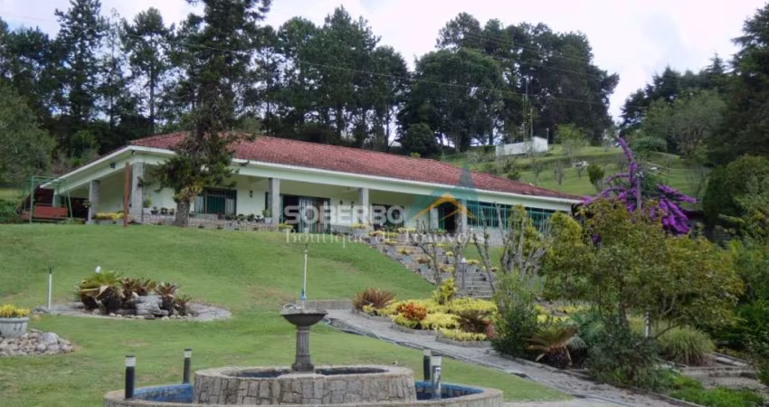 Sítio Produtivo, 304.000 m², 11 Casas, 7 Nascentes, Lago, Vieira, RJ