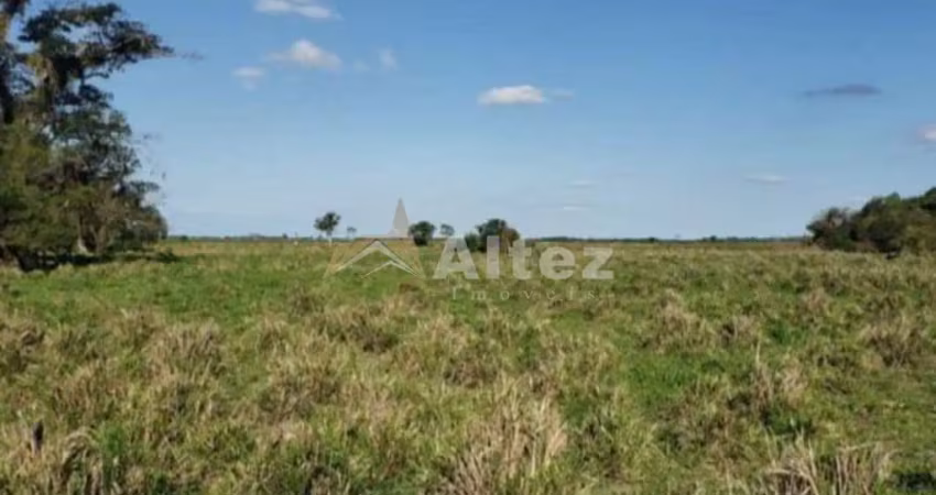 Fazenda inteiramente plana, 91,8 alq (444,4 ha), campos dos goytacazes, rj