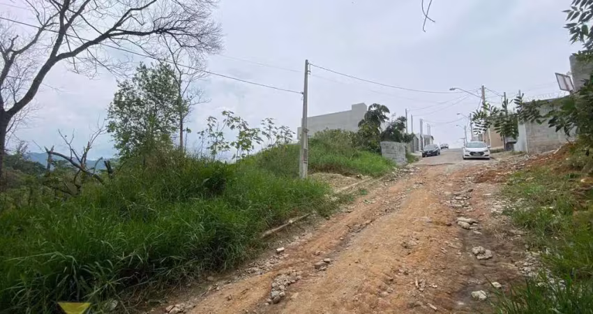 Terreno residencial à venda, vila são paulo, mogi das cruzes - te0151.