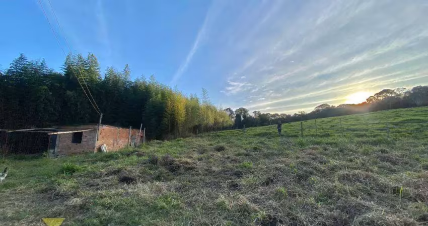 Terreno à venda, 5000 m² por r$ 450.000,00 - biritiba ussu - mogi das cruzes/sp