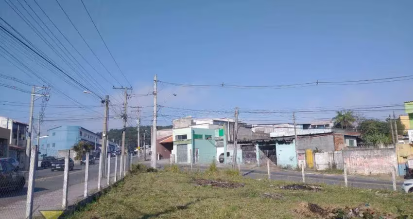Terreno, 700 m² - venda por r$ 1.400.000,00 ou aluguel por r$ 2.500,00 - conjunto residencial do bosque - mogi das cruzes/sp