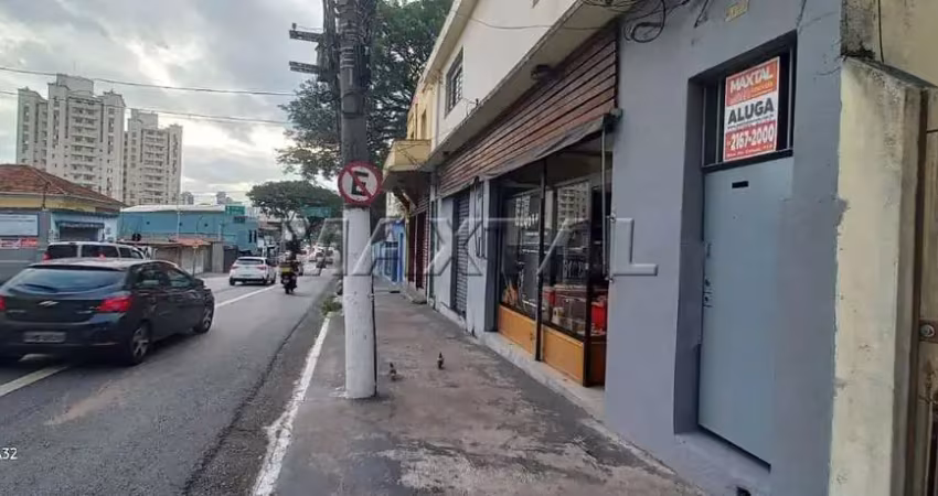 Casa para locação 01 cômodo estilo kitnet, 1 banheiro,  pia e lavanderia na vila guilherme