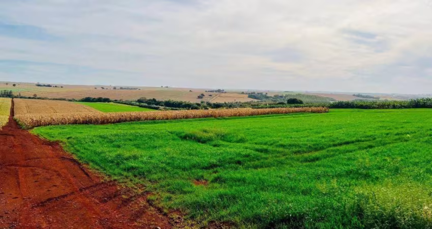 Sítio à venda, 121000 m² por R$ 4.000.000,00 - Prq Ind 200 - Maringá/PR