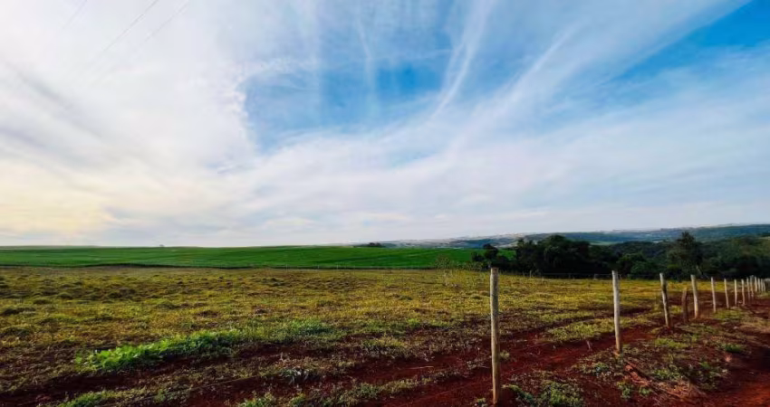 Sítio à venda, 72600 m² por R$ 1.250.000,00 - Parque Industrial Um - Marialva/PR