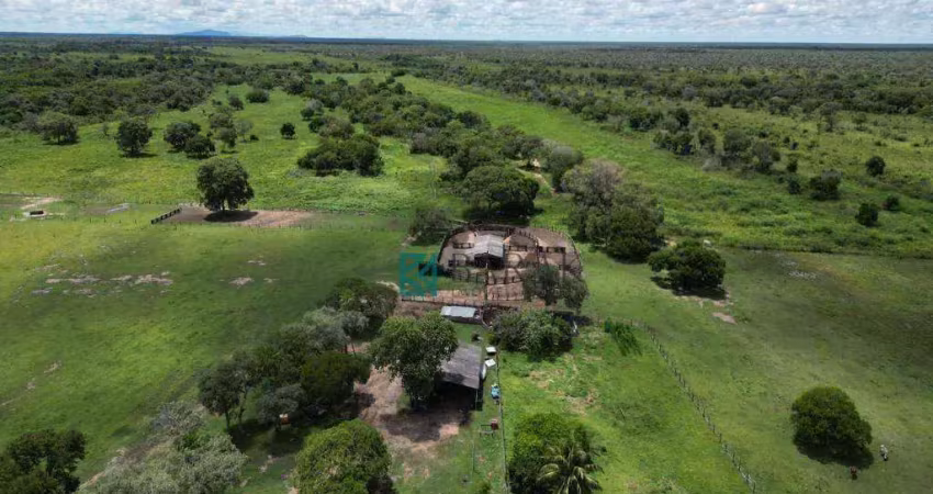 Fazenda com 4 dormitórios à venda, 18139836 m² por r$ 35.000.000,00 - guaycurus - miranda/ms