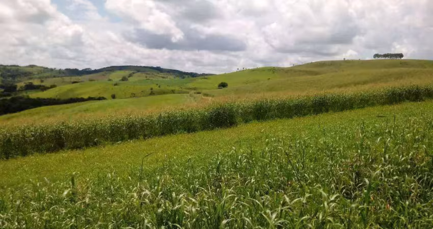 Fazenda à venda, 798600 m² por r$ 6.600.000,00 - zona rural - palmital/pr