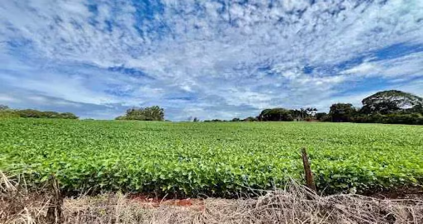 Terreno à venda, 66000 m² por r$ 8.000.000,00 - vale azul - sarandi/pr