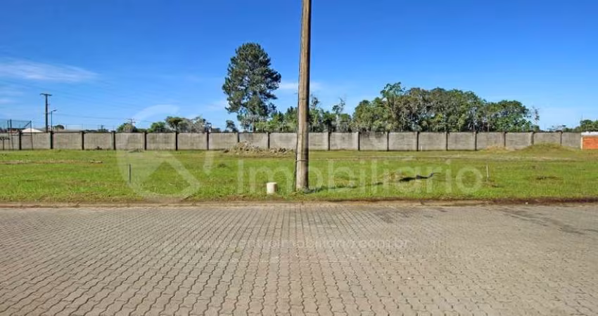 TERRENO à venda em Peruíbe, no bairro Residencial Bosque Três Marias