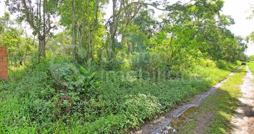 TERRENO à venda em Peruíbe, no bairro Jardim Marcia