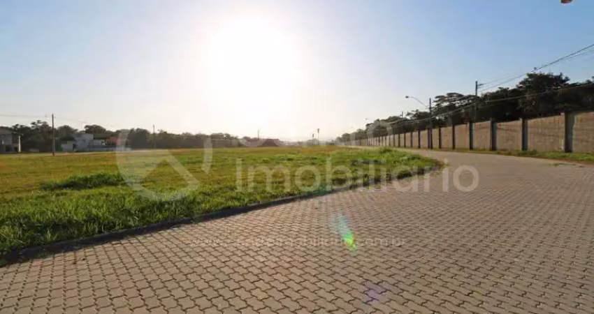 Terreno à venda em peruíbe, no bairro residencial bosque três marias