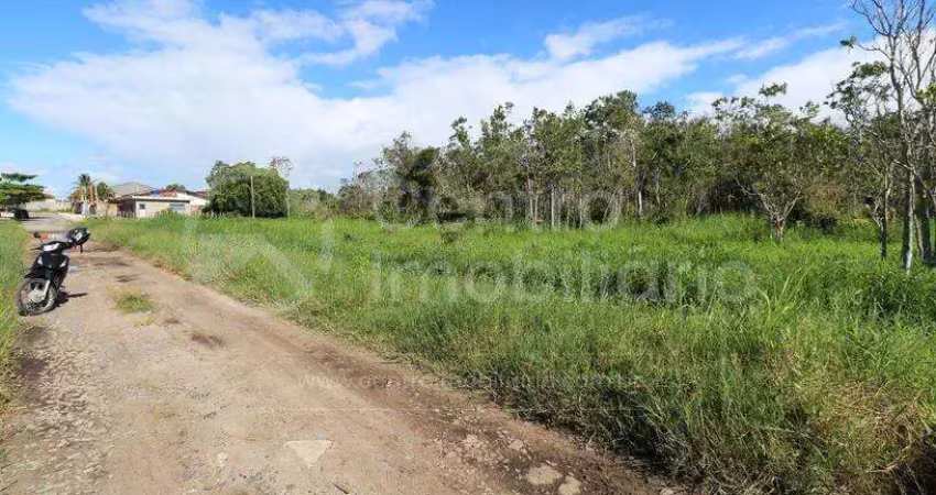 Terreno à venda em peruíbe, no bairro cidade nova peruíbe