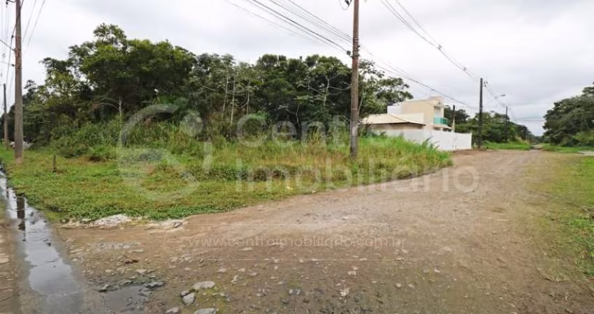TERRENO à venda em Peruíbe, no bairro Jardim Marcia