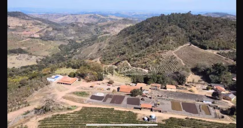 Fazenda produtiva à venda, 242 hectares por r$ 25.000.000 - espírito santo do pinhal/sp