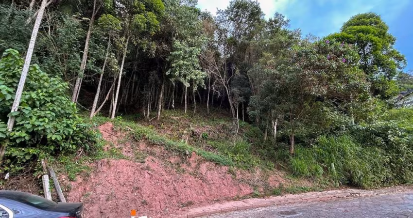 Terreno à venda, 420 m² por R$ 240.000,00 - Centro (Blumenau) - Blumenau/SC