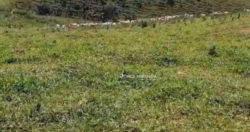 Fazenda à venda, 484 m² por R$ 3.200.000,00 - Zona Rural - Alfredo Chaves/ES