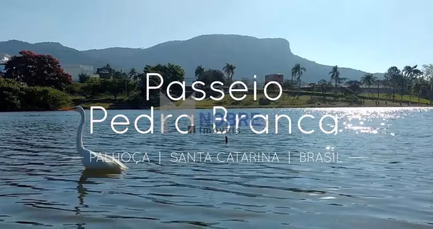 Terreno à venda na Rua do Copo de Leite, 340, Pedra Branca, Palhoça