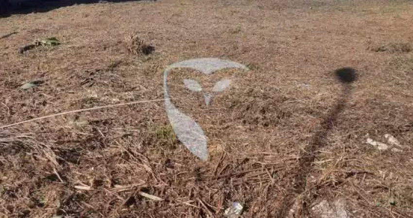 Terreno à venda no Petrópolis, Caxias do Sul 