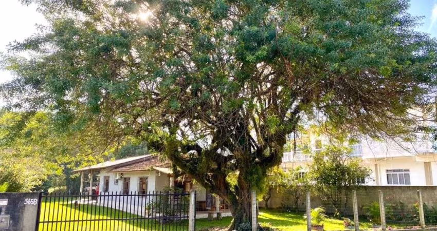 Sítio à venda, 1330 m² por R$ 1.150.000,00 - Santa Lidia - Penha/SC