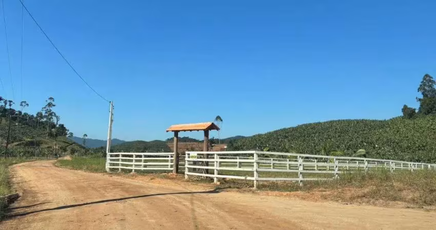 Chácara / sítio à venda no Braço Serafim, Luiz Alves 