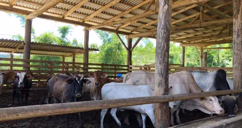 Chácara / sítio com 2 quartos à venda no Centro, Balneário Piçarras 