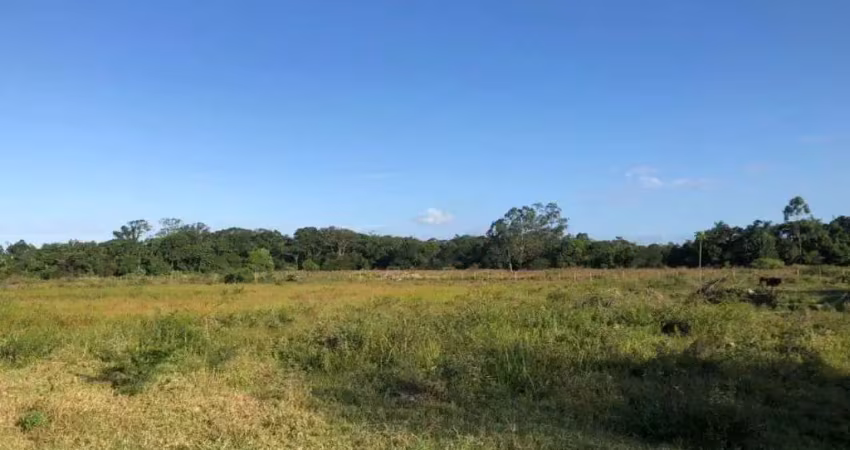 Área à venda, 22000 m² por r$ 18.000.000,00 - machados - navegantes/sc