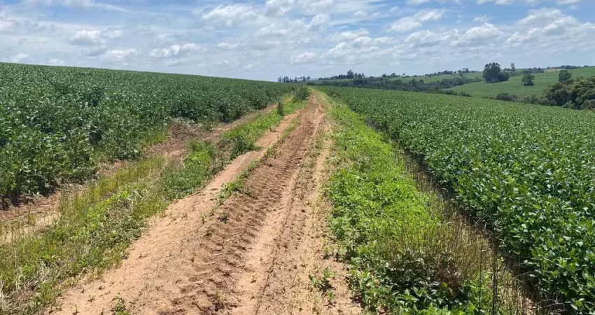 Fazenda à venda na Rua Coronel Afonso, Centro, Itapetininga