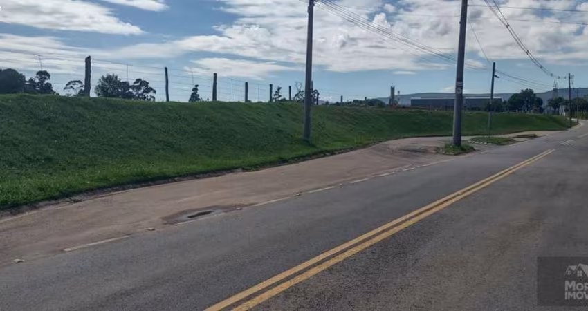 Área para Venda em São Paulo, Quinta da Paineira