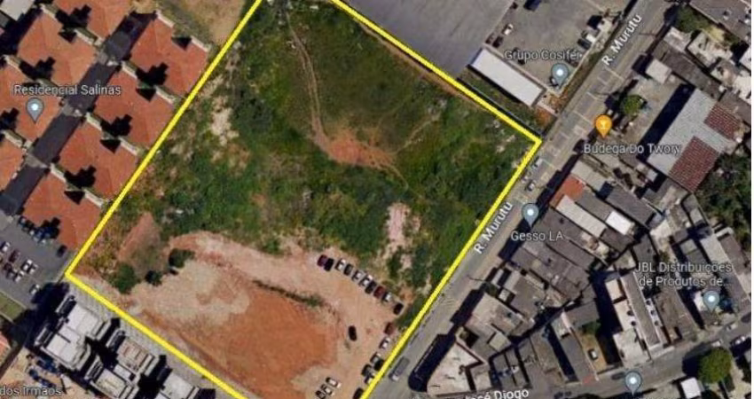 Terreno para Venda em Guarulhos, Jardim Silvestre