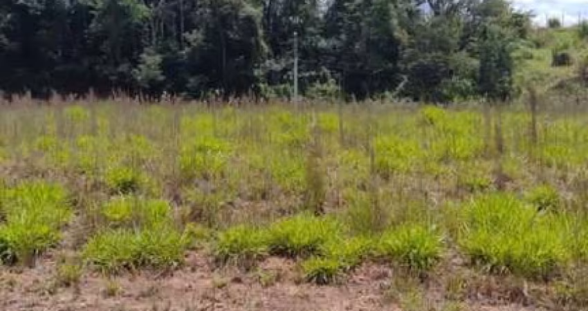 Lote para Venda em Santana de Parnaíba, Loteamento Jardim das Flores