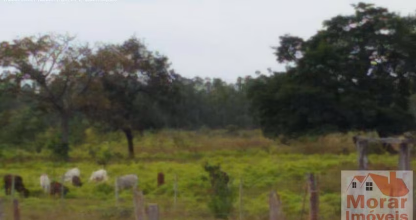 Fazenda para Venda em Pirapora, Aparecida