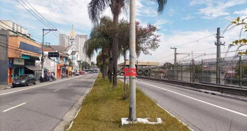 Terreno à venda, 384 m² por r$ 3.500.000,00 - guaianases - são paulo/sp