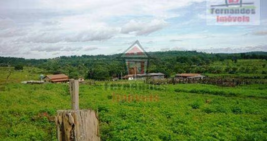 Fazenda à venda, 1.500 há por R$ 25.000.000 - Zona Rural - Campinápolis/MT
