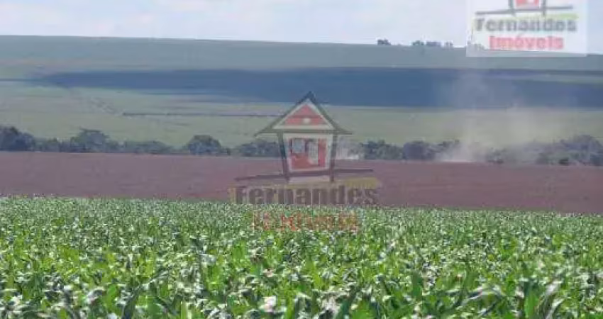 Fazenda à venda no Centro, Dourados 
