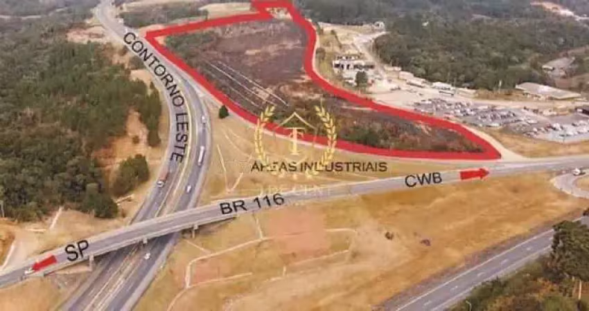 Terreno comercial à venda na Rua Arnaldo Perine / BR 116, --, Jardim Pinheiros, Quatro Barras
