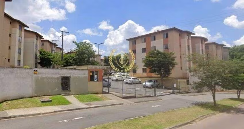 Apartamento locação - 02 quartos - Colonia Rio Grande - São José dos Pinhais