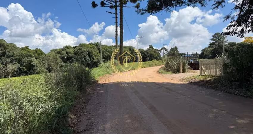 Chácara com plantio - 5.0066 hectare  - colônia murici - são jose dos pinhais