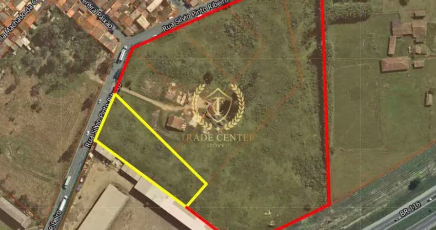 Terreno comercial à venda na Rua Sílvio Pinto Ribeiro, --, Quississana, São José dos Pinhais