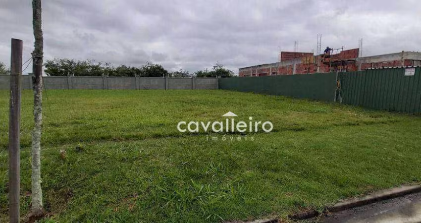 TERRENO PLANO NO ALPHAVILLE 2