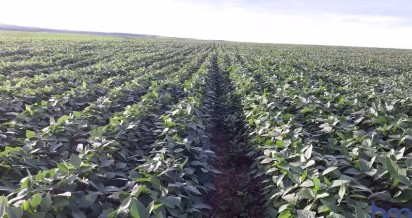FAZENDA DUPLA APTIDÃO COM 132,6 ALQUEIRES EM TRÊS MARIAS - MG
