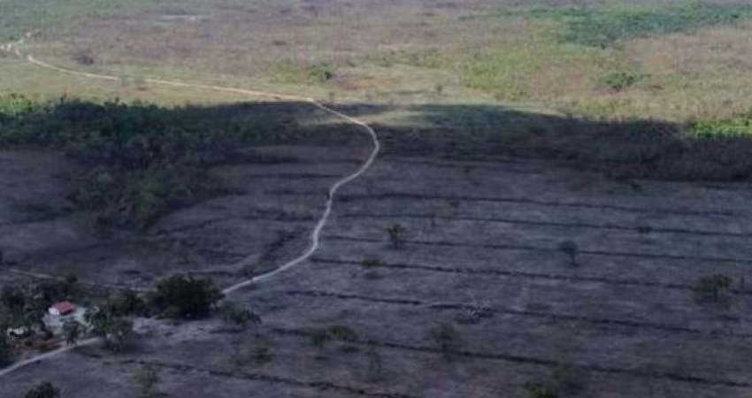 FAZENDA COM 4.000 ALQUEIRES DUPLA APTIDÃO NO MUNICÍPIO DE CAMPOS LINDOS - TO