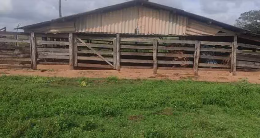 Fazenda dupla aptidão com 39 alqueires paulistas em votuporanga - sp