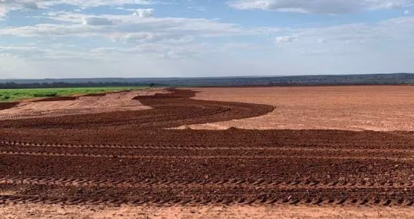 FAZENDA PARA AGRICULTURA COM 1.070 HECTARES EM TERENOS - MS