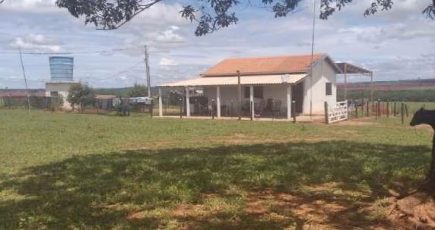 FAZENDA PARA AGRICULTURA EM AMENDOIM COM 84,5 ALQUEIRES PAULISTAS EM JUNQUEIRÓPOLIS - SP