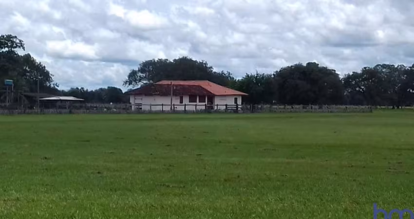 FAZENDA DUPLA APTIDÃO COM 40.600 HECTARES EM PIUM - TO