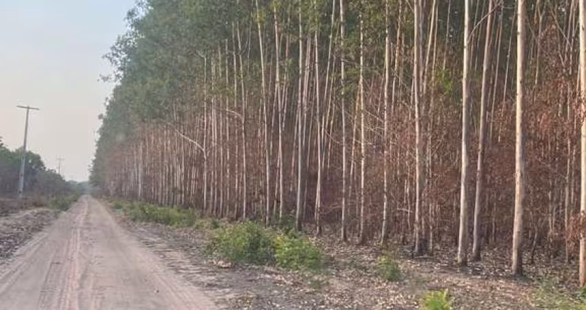 FAZENDA DUPLA APTIDÃO COM 9.500 HECTARES EM ANAPURUS - MA